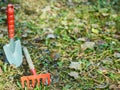 Garden cleaning, small shovel, rake, Royalty Free Stock Photo