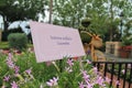 Garden closeup and details at Epcot