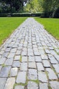 Garden Cobblestone Path Royalty Free Stock Photo