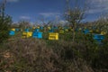 Garden with colorful beehives