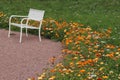 Garden with colorful flowers and a white bench to sit and relax Royalty Free Stock Photo