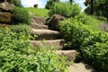 Garden composition with old sandstone stairs and aromatic herbs