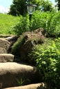 Garden composition with old sandstone stairs and aromatic herbs