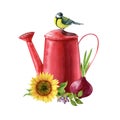 Garden composition with red watering can, sunflower