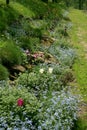 A garden composition of spring flowers.