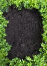 Garden compost background Royalty Free Stock Photo