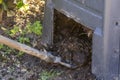 Garden Composter and spade. Royalty Free Stock Photo