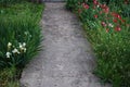 garden concrete path among colorful flowers