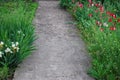 Garden concrete path among colorful flowers