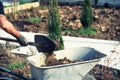 Garden, construction, landscaping. Hand of a man with a shovel loads the earth into a cart