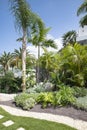 Garden corner featuring palm trees and lots of luxuriant plants, with a neat stone path crossing through the well-kept grass