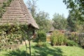 Garden by the country house made of wood and with a thatched roof, fenced off with a wooden fence Royalty Free Stock Photo