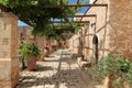 Garden Courtyard with flowers in ceramic pots