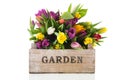 Garden crate full tulips