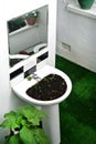 Garden created by recycling bathroom sanitary ware