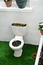 Garden created by recycling bathroom sanitary ware