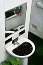 Garden created by recycling bathroom sanitary ware