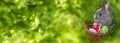 Garden with cute easter rabbit Royalty Free Stock Photo