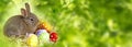 Garden with cute easter rabbit Royalty Free Stock Photo