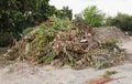 Garden cuttings in a large pile Royalty Free Stock Photo