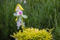 Garden decor and young shoots of oregano