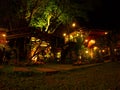 Garden decorated with warm lighting lantern