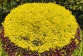 Garden Decorating Elements in China close-up photo.