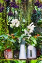 Garden decoration idea using the watering can