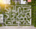 Garden Decoration is a maze with Green leaves wall fence with co