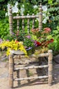 Garden decoration with a old chair. Royalty Free Stock Photo
