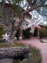 Garden decoration, silver stars adorning tree outside stone house