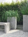 Garden with decorative grass, concrete and stone Royalty Free Stock Photo