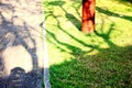 garden design bringing light and shadow to make beauty nature pattern on ground . abstract pattern decoration on green grass Royalty Free Stock Photo