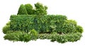 Cutout green hedge with flower bed. Landscaping Royalty Free Stock Photo
