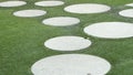 Garden design round shapes on artificial turf Royalty Free Stock Photo