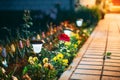 Garden Design. Small Solar Garden Light. Concept Of Energy Saving. Ecological Solar Powered Lamp. Lantern In Flower Bed Royalty Free Stock Photo