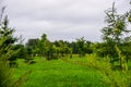 Garden in Koknese park Garden of Destinies in Latvia Royalty Free Stock Photo