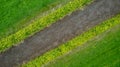 garden detail in aerial view with sand path going between two hedges Royalty Free Stock Photo