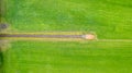 garden detail in aerial view with sand path going between two hedges towards a little building, a shed or chapel, in the Royalty Free Stock Photo