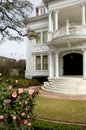 Garden district Royalty Free Stock Photo