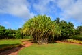 Garden of Dole Plantation Royalty Free Stock Photo