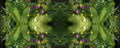garden of dreams.Seamless pattern across the horizontal. fern le