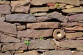 Garden: dry stone wall Royalty Free Stock Photo