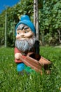 Garden Dwarf