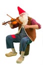 Garden dwarf with violin