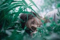 Garden of Eden. Flowers around girl in grey dress and green boots. Portrait of a young attractive girl in long dress sunny summer Royalty Free Stock Photo