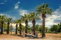 Garden of Eden. Lost garden of Eden with remains of ancient columns