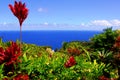 Garden Of Eden, Maui Hawaii Royalty Free Stock Photo