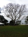 Garden of the Edison and Ford Winter Estate in Fort Myers, Florida