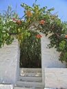 A garden entrance of a village house in Greece,